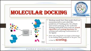 Structure Based Drug Design SBDD |CADD Molecular Docking | Drug Discovery | Medicinal Chemistry