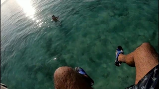 JUMPING OFF from our Water Villa in the Maldives 🇲🇻