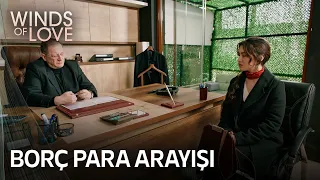 Zeynep is seeking money for her project | Winds of Love Episode 53 (MULTI SUB)