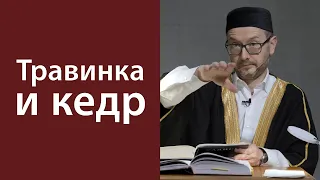 Боль, недуги и неприятности