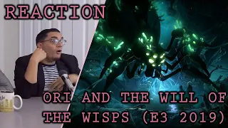 Ori and the Will of the Wisps E3 2019 Trailer Reaction