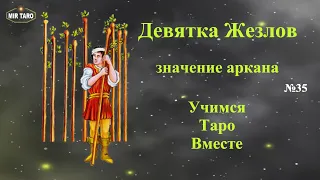 Девятка Жезлов - Значение. Младшие (числовые) арканы в Таро. Первые практические шаги для начинающих