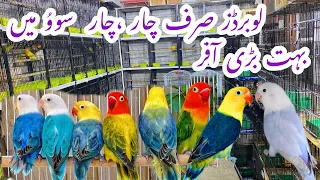 Lovebirds price in Sunday birds market Islamabad Peshawar mor h9@Islamabadpets345