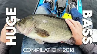 HUGE Bass Topwater Blowups (Rats / Frogs) - DROP SHOT - Live Bait (Golden Shiner) - Compilation 2018