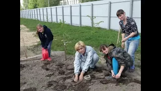 Трудотерапия – лучшее лекарство от депрессии