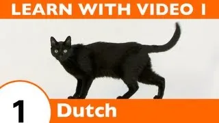 Learn Dutch with Video - Learning Dutch Vocabulary for Common Animals Is a Walk in the Park!