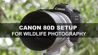 Canon 80D - Setup for Wildlife Photography