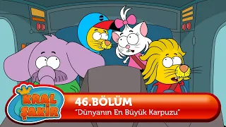 Kral Şakir 46. Bölüm - Dünyanın En Büyük Karpuzu