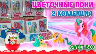 Распаковка Sweet Box Цветочные Пони // Flower Pony Sweet Box Unboxing