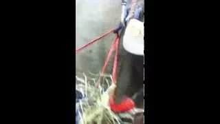 how to  tie up a horses haynet