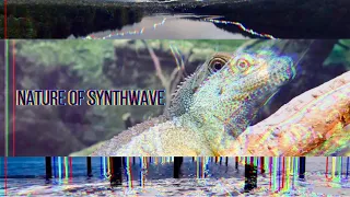 Nature Of Synthwave - 4K HD