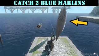 NieR Replicant - How to catch a BLUE MARLIN guide (Fisherman's Gambit Part 8)