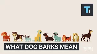 Your dog has different kinds of barks — here’s why