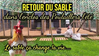 Quelle litière pour l'enclos des poulaillers en été !!!