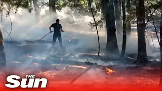 Wildfires strike Rhodes forests in Greece