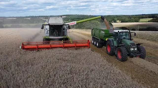 Moisson d'avoine 🌾et de triticale avec une claas lexion 750.