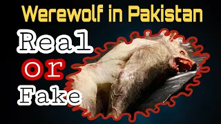 Werewolf in Pakistan |Monster|Bla| Urdu-Hindi |Real or Fake| #Shorts #Fact_vs_Reality