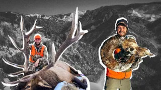 BULLS & BIGHORNS | COLORADO ELK HUNT | S8E8 | Limitless Outdoors