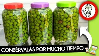 PRESERVED OLIVES (Cure and Preserve for 1 Year) Step by Step Recipe by mixim89