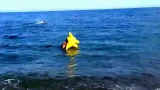 Море Алушта нечем заняться