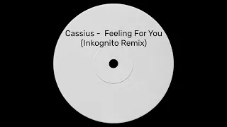 Cassius - Feeling For You (Inkognito Remix)