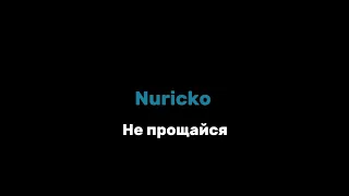 Nuricko - Не прощайся текст песни