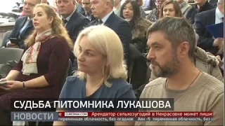 Судьба питомника Лукашова. Новости. 19/03/2020. GuberniaTV