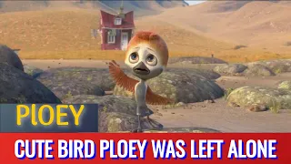 Little Bird Ploey Was Left Alone | Ploey Tries To Fly | Ploey