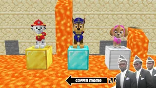 Who to Save Paw Patrol in Minecraft - Coffin Meme