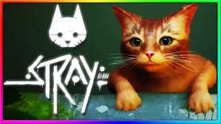 PURRFECT BEST GAME OF 2022 | Stray Part 1