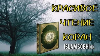 УСПОКАИВАЮЩЕЕ ЧТЕНИЕ КОРАН. ISLAM SOBHI ©