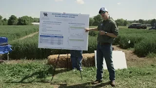 Economics of Harvesting Wheat Straw