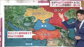 【解説】プーチン氏トルコ訪問か・・・狙いは?　軍事侵攻の行方左右か(2022年6月6日)