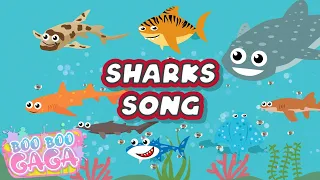 Shark Friends | Baby Shark | Shark Song for Kids [by Boo Boo Gaga] #booboogaga