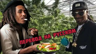 С КЕМ БЫ ХОТЕЛ ПООБЕДАТЬ SNOOP DOGG? (ПЕРЕВОД НА РУССКОМ)