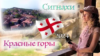 Сигнахи, Красные горы, Монастырь Давид Гареджи 2024