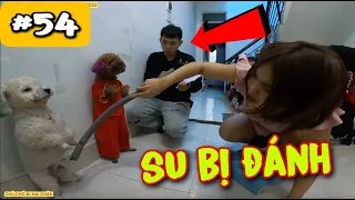 #54: CHỊ HIỀN TỨC GIẬN ĐÁNH SU TÉT ĐÍT VÌ "ĐI HỌC Ở LẠI LỚP" | CHÚ CHÓ ĐI HAI CHÂN