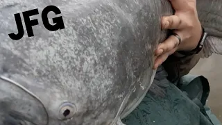 Catching a big catfish during a thunderstorm!!