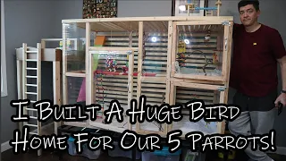 I Built a Huge Bird Cage for All of Our Birds! DIY Bird Cage Ideas