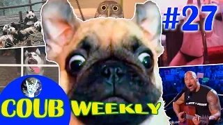 Coub Weekly # 27 Лучшее за неделю. ( Подборка приколов август - сентябрь 2015 часть 1 )