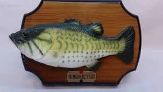 Vintage 1999 Gemmy Big Mouth Billy Bass Singing Mounted Fish "Don't Worry, Be Happy"