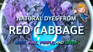 How-to Make all NATURAL DYE from RED CABBAGE - Dye Clothes, Food & Drinks