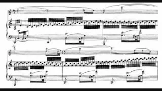 Schubert, Fantasy for Violin in C major, op. posth. 159, D. 934 (1828) - 1. Andante molto