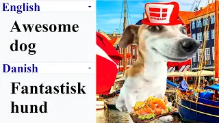 Awesome dog in different languages meme | Part 2