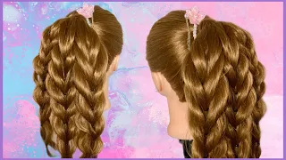 Cola alta con trenzas | Ideas De Peinados