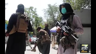 ZNews - Canadian Organization Plans to Rescue Afghans from Taliban Takeover