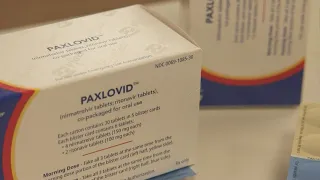 Researchers warn that people taking COVID antiviral pill can spread symptoms without knowing