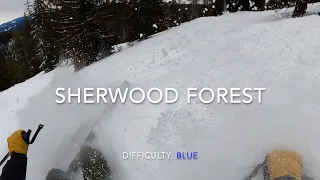 Silver Star Guided Ski Tour: Sherwood Forest