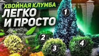 Хвойная клумба : схемы вечнозеленого декора, секреты посадки и ухода