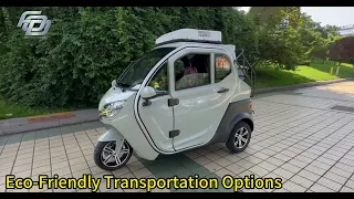 Adult passenger electric tricycle for elderly/3 wheel electric mobility scooter---fodauto.com
